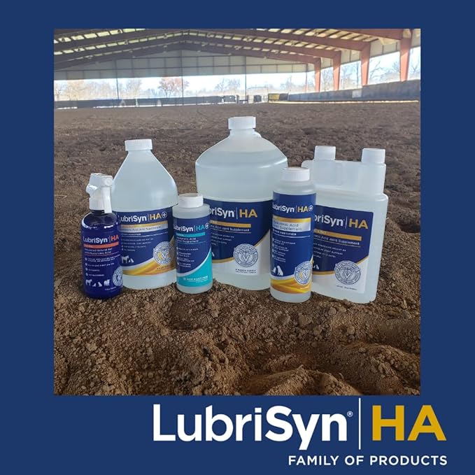 Lubrisyn HA with MSM - Proprietary Vegan Joint Relief Edible Supplement Made in USA for Humans - 30 Day Supply of Liquid Hyaluronic Acid Formula for Healthy Joints