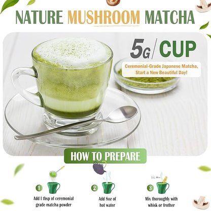 Mushroom Matcha Powder, Japanese Ceremonial Matcha Infused With 7 Superfood Mushrooms, MCT Oil, Coconut Milk Powder, Natural, Gluten Free, Taste Great Matcha Latter 8 Oz(45 Servings)