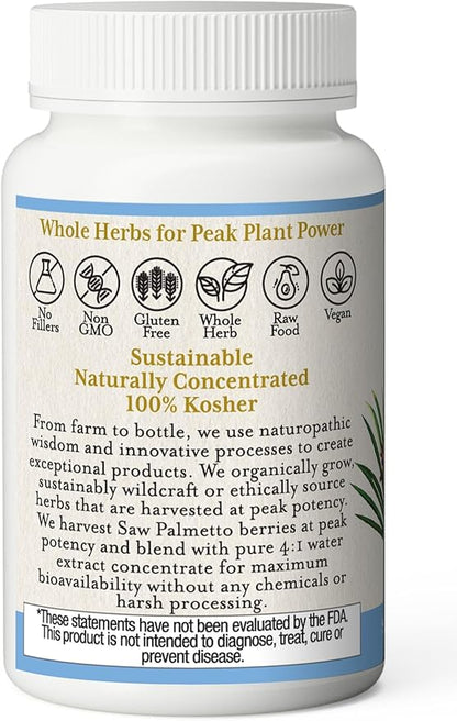 ECLECTIC INSTITUTE Fresh Freeze-Dried Saw Palmetto - 600 mg - 240 Vegetarian Capsules