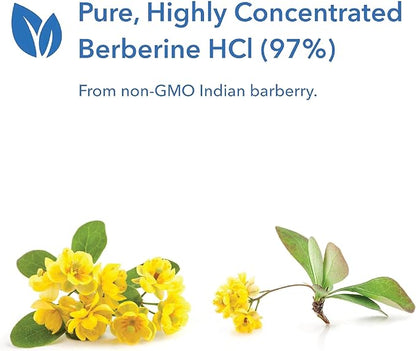 Allergy Research Group Berberine 500mg Supplement 90 Count