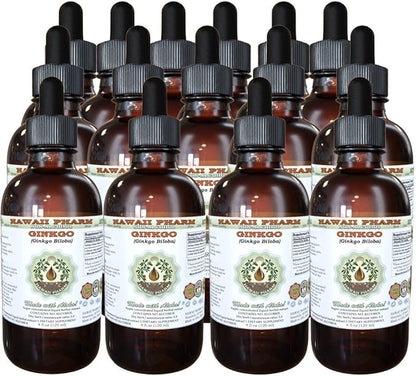 Hawaii Pharm Ginkgo Alcohol-FREE Liquid Extract, 15x4 oz