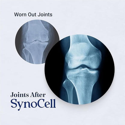 Glucosamine Chondroitin Complex Back, Neck, and Joint Support Supplement with Boswellia, Quercetin, & MSM - Renew Your Joints from The Inside Out - Move with Freedom and Ease