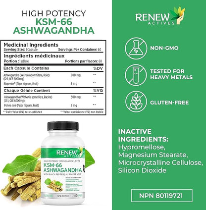 Renew Actives Ashwagandha KSM-66 Capsules 60 Capsules
