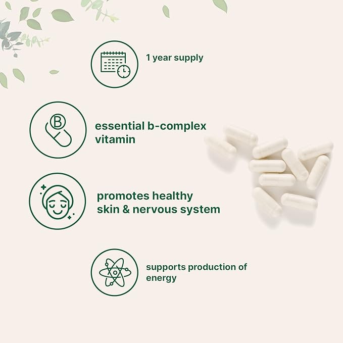 Micro Ingredients Pantothenic Acid Vitamin B5 B5 500mg 500mg Per 365 Capsules (1 Year