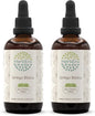 Ginkgo Biloba B120 (2pcs) Alcohol-Free Herbal (2x4 fl
