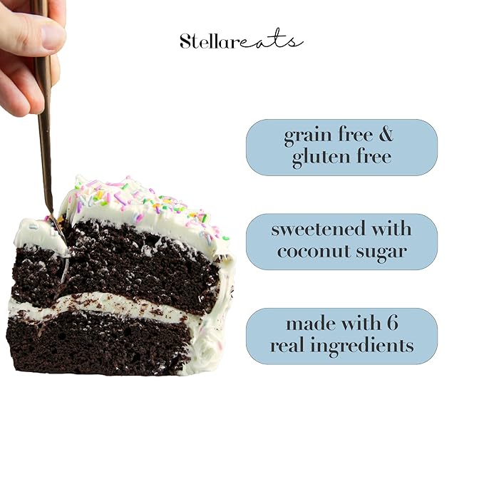 Stellar Eats Grain-Free Baking Mix | Gluten-Free, Dairy-Free, Plant-Based, Paleo-Friendly | Fluffy & Moist | Sweetened with Organic Coconut Sugar | Almond Flour-Based | Non-GMO, Kosher | Easy to Bake (Chocolate Cake, 1 Pack)
