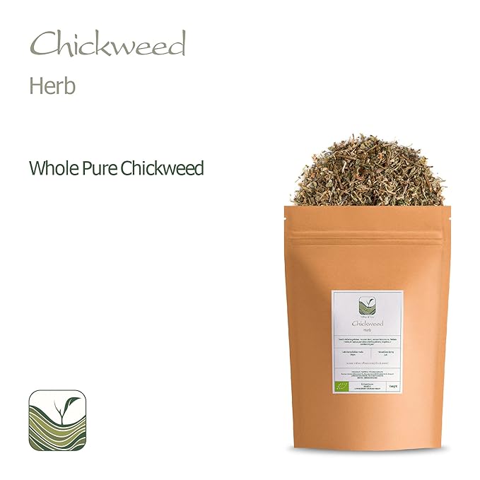 Chickweed Tea Herb