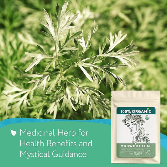 Mugwort Herb Organic Loose Leaf (4oz.) – Artemisia Organic - Artemisa Hierba Seca Organica - Dried Mugwart - Leaves for Tea and Smoking