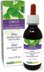 Naturalma Ginkgo (Ginkgo biloba) leaf Alcohol-free Tincture 4 fl