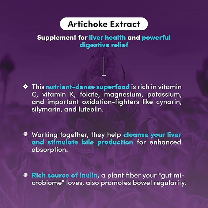 Herbal Artichoke Supplement 500 mg 90 Capsules