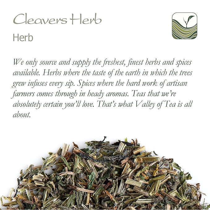 Cleavers Herb Tea Galium Aparine