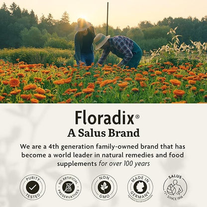 Floradix Floravital Liquid Iron & Vitamins Formula 8.5 oz