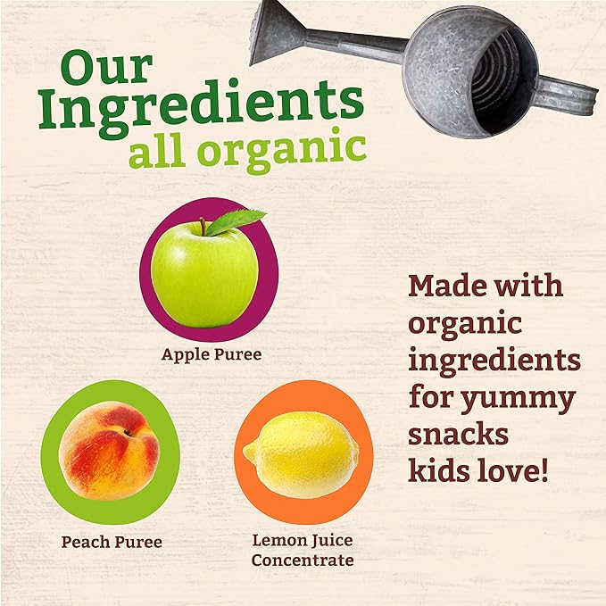 Pumpkin Tree Peter Rabbit Organics Apple and Peach, Fruit Snack Squeeze Pouch, 4 Ounce (Pack of 10)