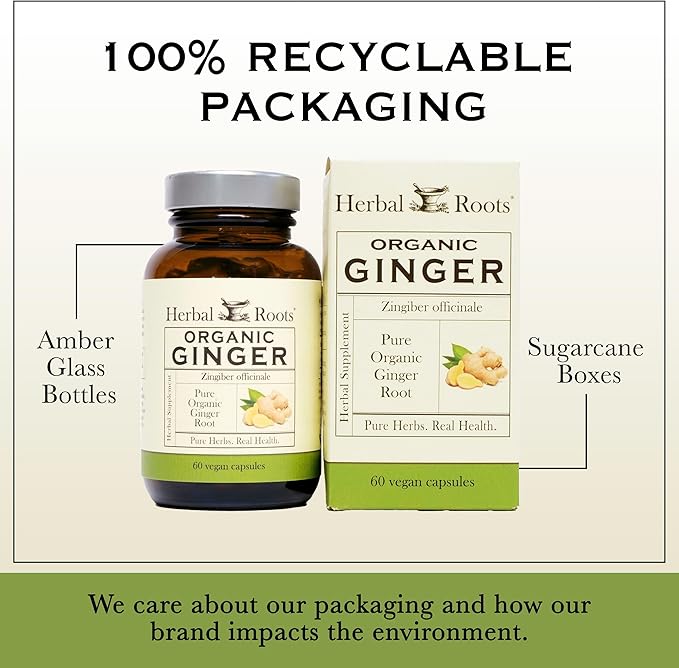 Herbal Roots Ginger Supplement 1,200 mg 60 Vegan