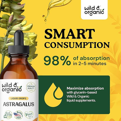 Wild & Organic Astragalus Tincture 4 oz