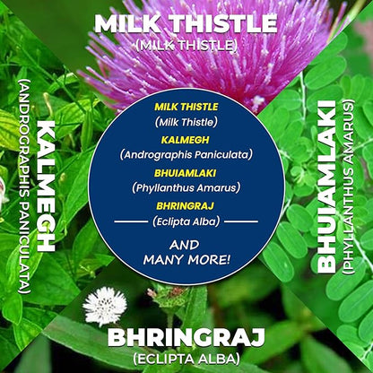 Liver Support Herbal Ayurvedic Supplement, Supports 13 Powerful 60 Caplets