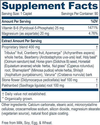 Ayush Herbs Rentone, Ayurvedic Urinary Tract B6, Tribulus, 90 Vegetarian