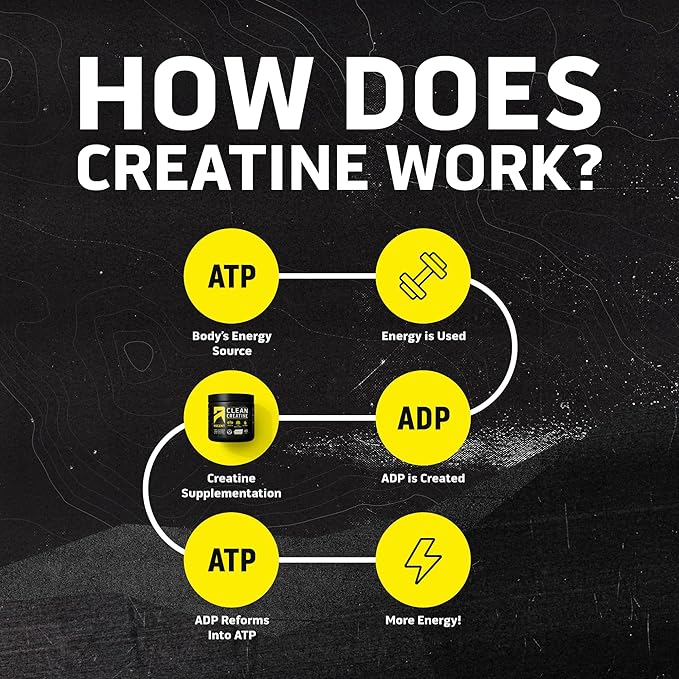 Ascent Clean Creatine Monohydrate Powder - 5G Per Serving, Creapure Creatine Supplement - Unflavored, 45 Servings