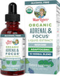 USDA Organic Nootropic Focus Supplement with Ginkgo Biloba - Brain, Memory and Adrenal Support