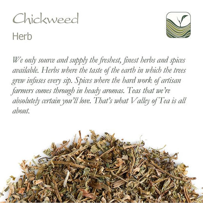 Chickweed Tea Herb