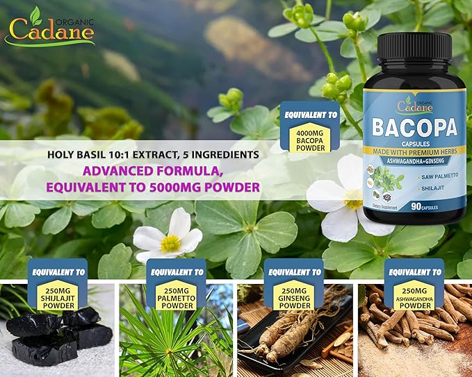 Organic Cadane 5000mg Bacopa Monnieri Supplement 90 Capsules 3 Month