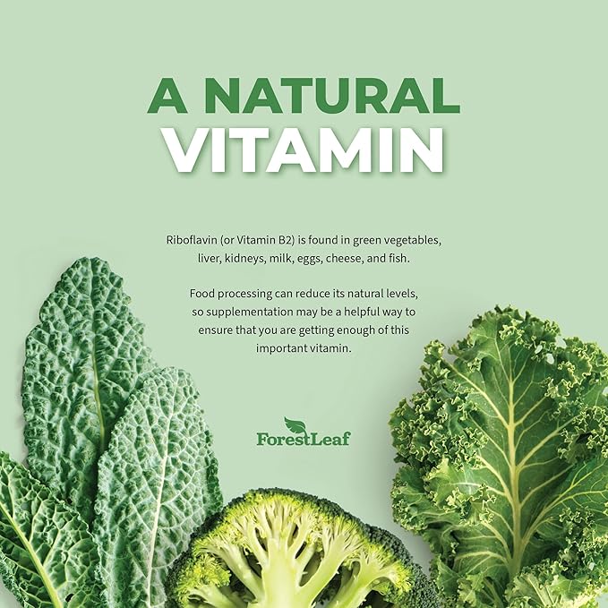 Vitamin B2 Riboflavin 400mg 2 Vit B2 Vitamin 400mg Vegetable 90 Count 2-Pack