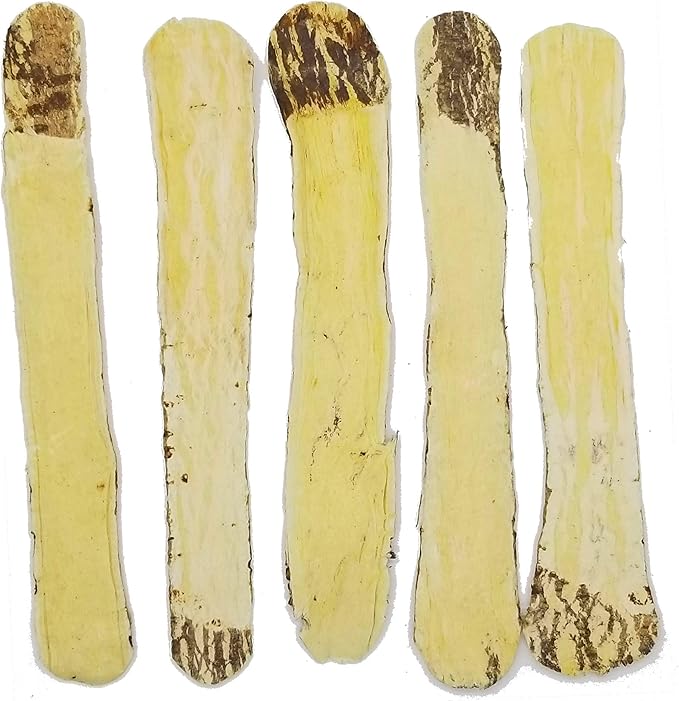 Astragalus Root X-Large Slices