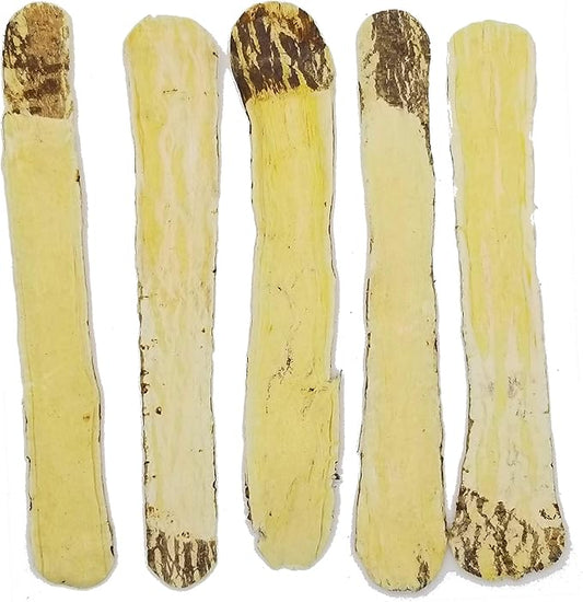 Astragalus Root X-Large Slices