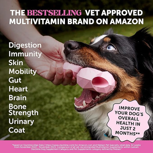 Pet Honesty Dog Multivitamin - 10 in 1 Dog Vitamins for Health & Heart - Fish Oil for Dogs, Glucosamine, Probiotics, Omega Fish Oil - Dog Vitamins and Supplements for Skin and Coat (Chicken 180 ct)