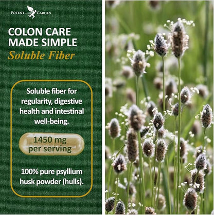 Psyllium Husk Capsules All Natural & 240 Caps