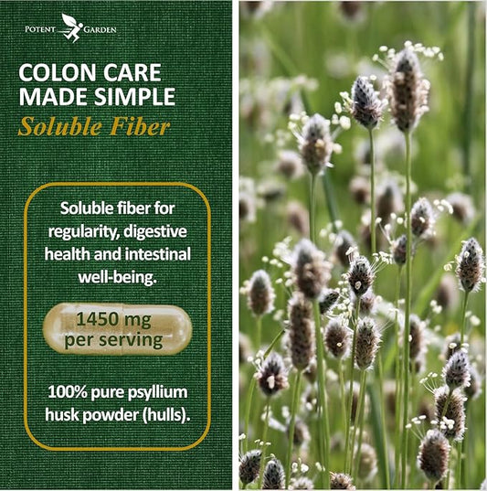 Psyllium Husk Capsules All Natural & 240 Caps
