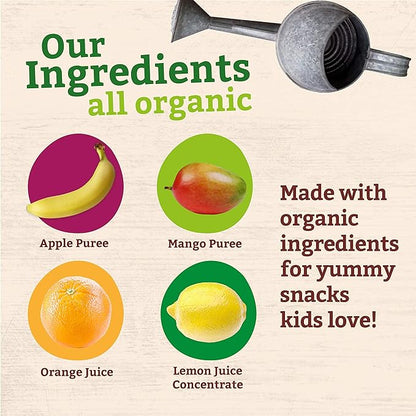 Pumpkin Tree Peter Rabbit Organics Mango, Banana and Orange Snacks, 4 Oz (Pack of 10)