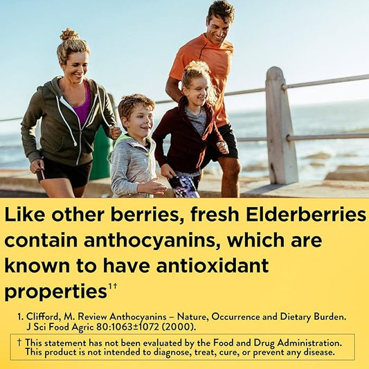 Nature Made Elderberry 400 mg Extract 60 Capsules, 60 Day