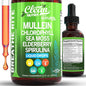 Organic Mullein Liquid Drops With Chlorophyll for Lung Detox Plus Irish Sea Moss, Spirulina, Licorice, Tart Cherry, Lobelia, Motherwort, And Elderberry For Men Women Health Supplement Vitamin