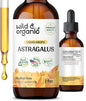 Astragalus Tincture - Immune Support Supplement 2oz
