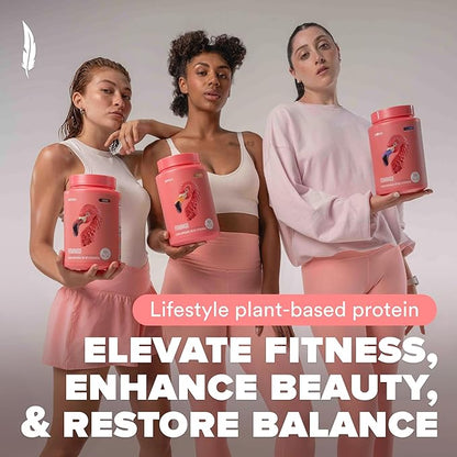 Birdman Fitmingo Vegan Protein Powder 23g Plant