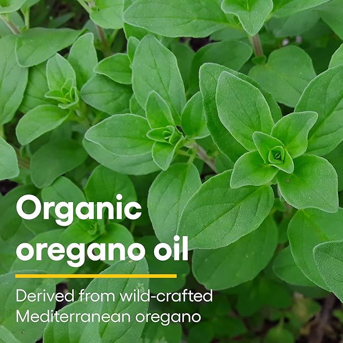Natural Factors Certified Organic Oil of 3.25 Fl