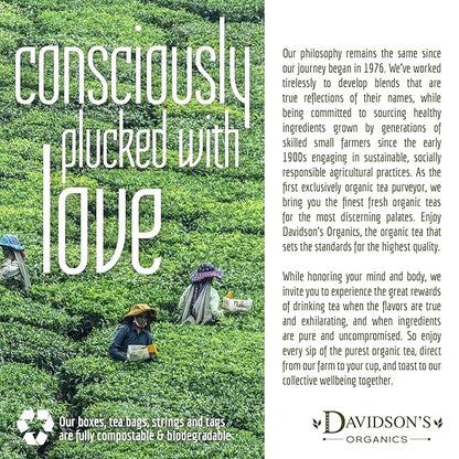 Davidson's Tea Bulk, Green Chai with Orange Peel, 16 Ounce