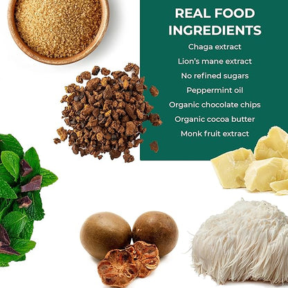 Laird Superfood Functional Protein Bars – Protein Bar but Better with Real Ingredients, Functional Mushrooms 10g Plant-Based Protein, 6g Fiber - Non-GMO - Mint Chocolate, 10 Count (Pack of 1)