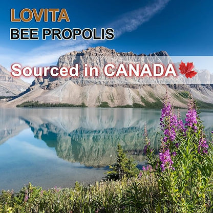 Bee Propolis 500 mg Liquid Extract 5:1 Propolis |1 Fl