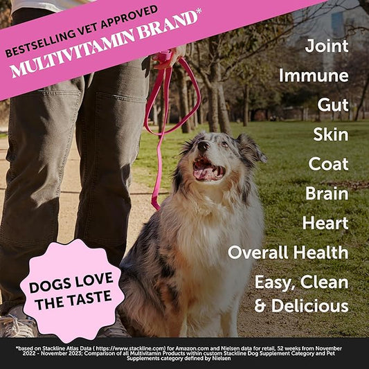 Pet Honesty Dog Multivitamin Supplement with Salmon Oil for Dogs - Allergy Itch Relief, Digestion, Skin & Coat Health, Liquid Supplement - Dog Food Topper Bone Broth with Prebiotics (12 oz)