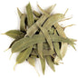 Eucalyptus Organic Loose Tea Leaves